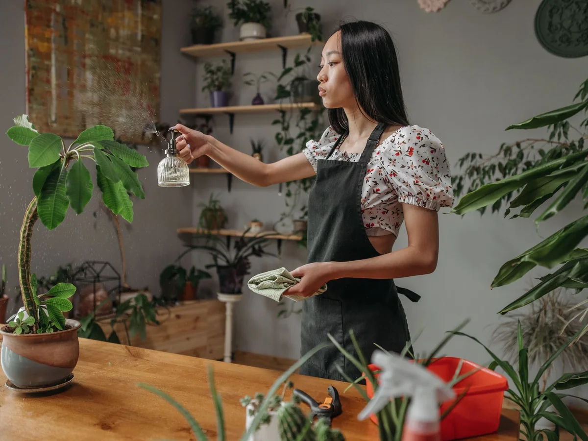 A countertop indoor herb garden lit by a small grow light in a kitchen