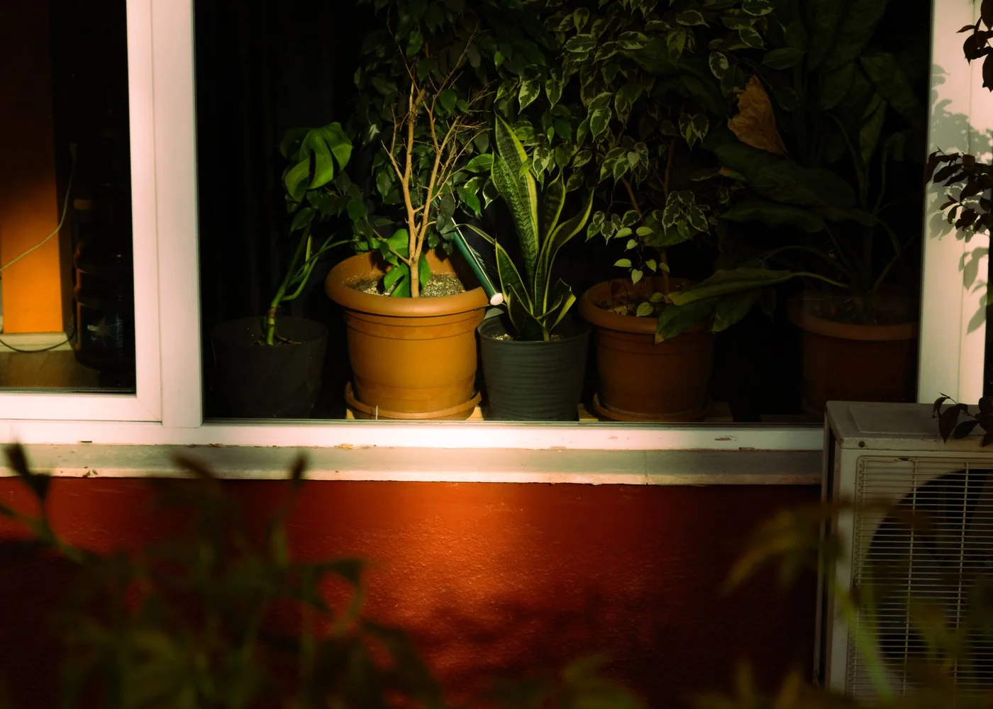 A warm, lived-in living room with natural light, plants, and practical furniture